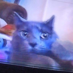 Meet your Posher, Kristina